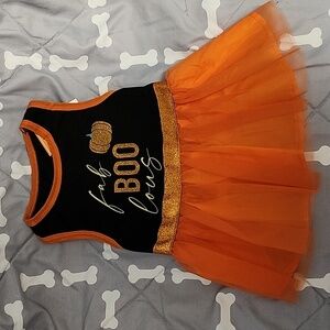 fab BOO lous Halloween Pet Dress